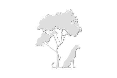 Wild Long, par Xavier E. G. Dierick